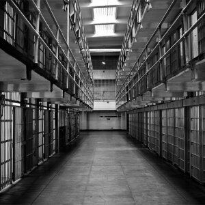 TDCJ Inmate Search | Texas State Penitentiary | TDCJ